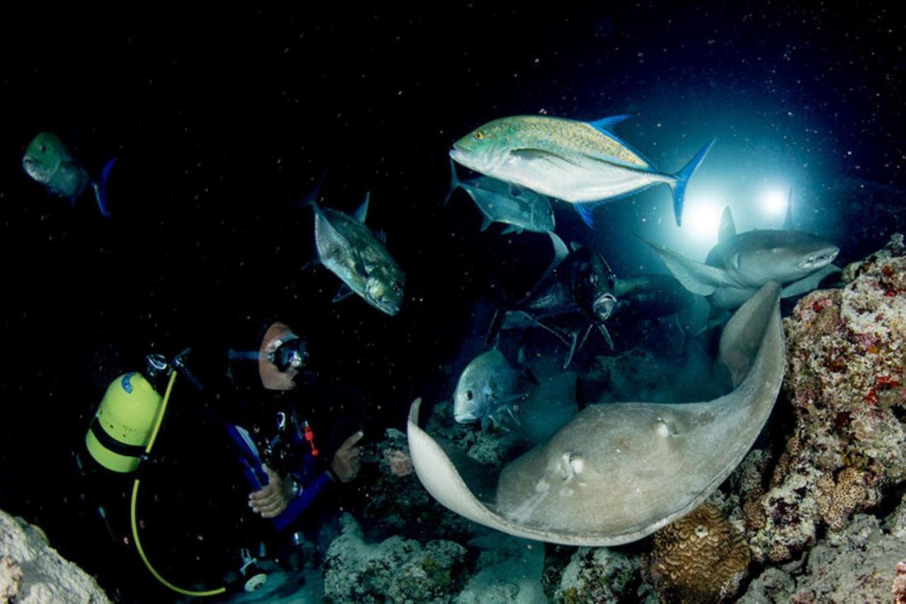 Hotel And Dive Center Roatan Yacht Club French Harbour Luaran gambar