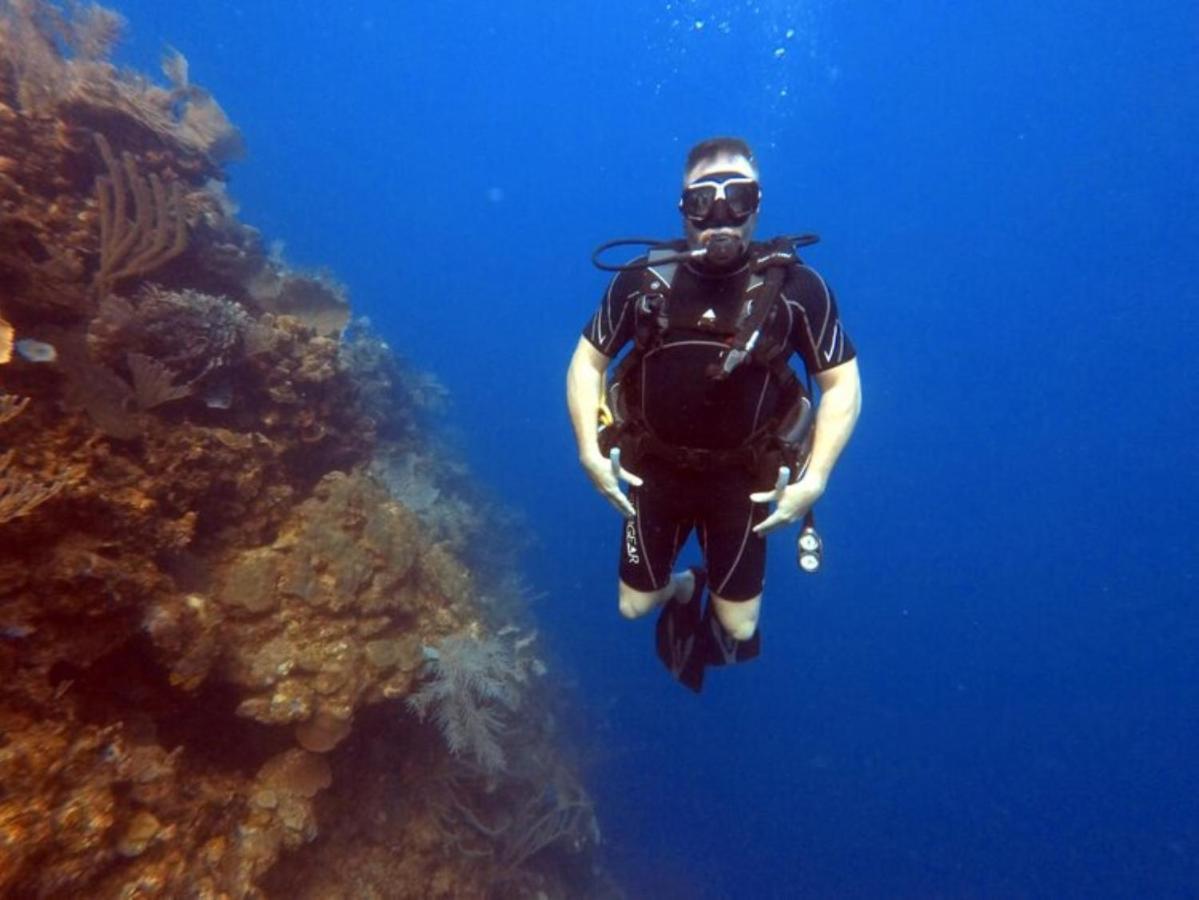 Hotel And Dive Center Roatan Yacht Club French Harbour Luaran gambar