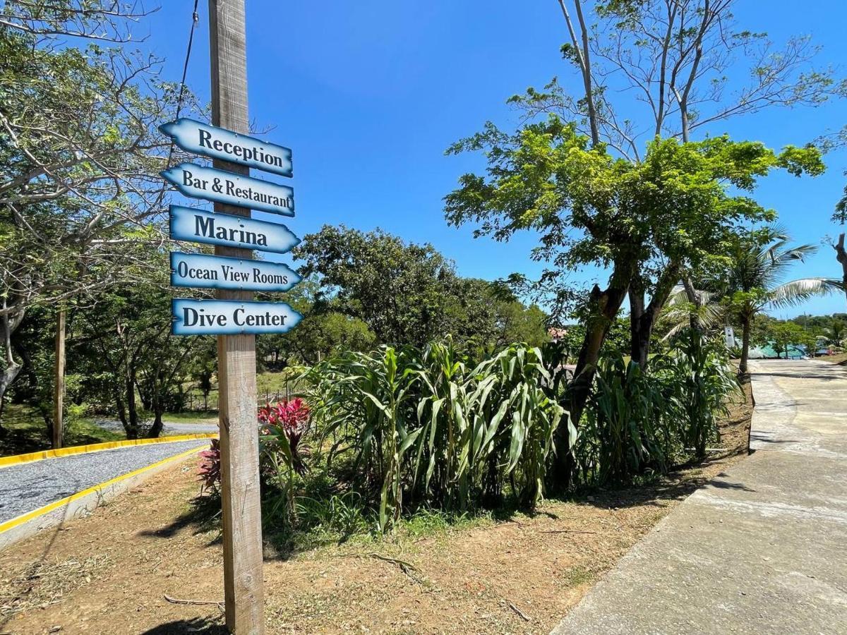 Hotel And Dive Center Roatan Yacht Club French Harbour Luaran gambar